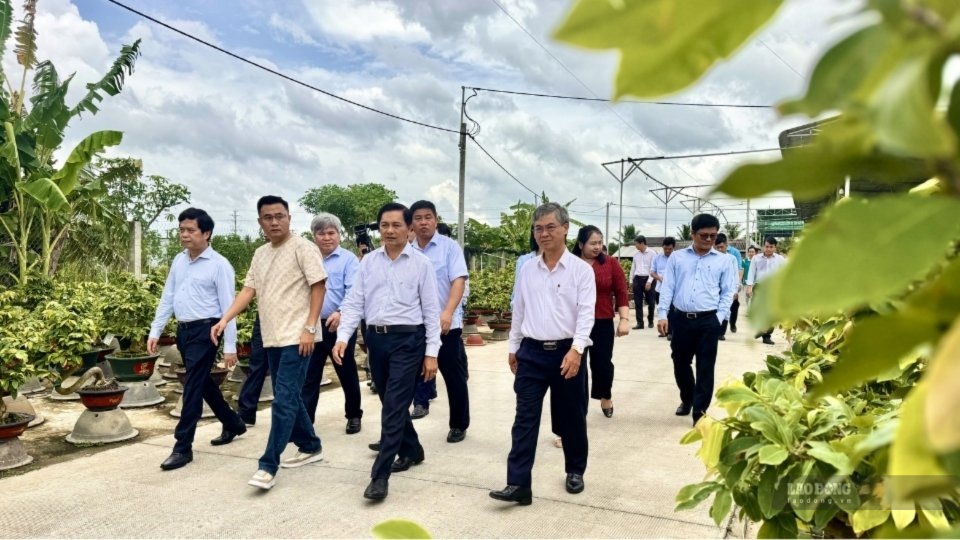 After the merger, Vinh Long continues to unlock resources and expand development space. Photo: Hoang Loc