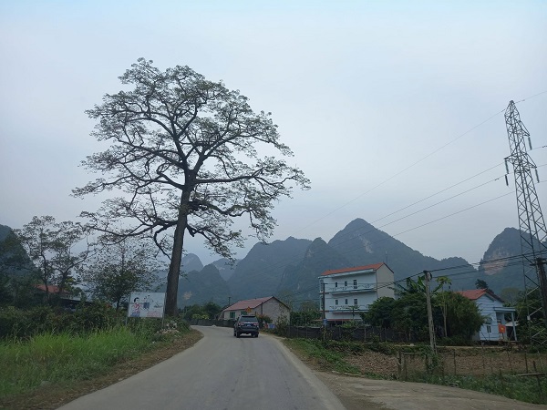 Citizens wonder if land use fees can be reduced when converting to residential land from farm land. Photo: Xuyen Dong