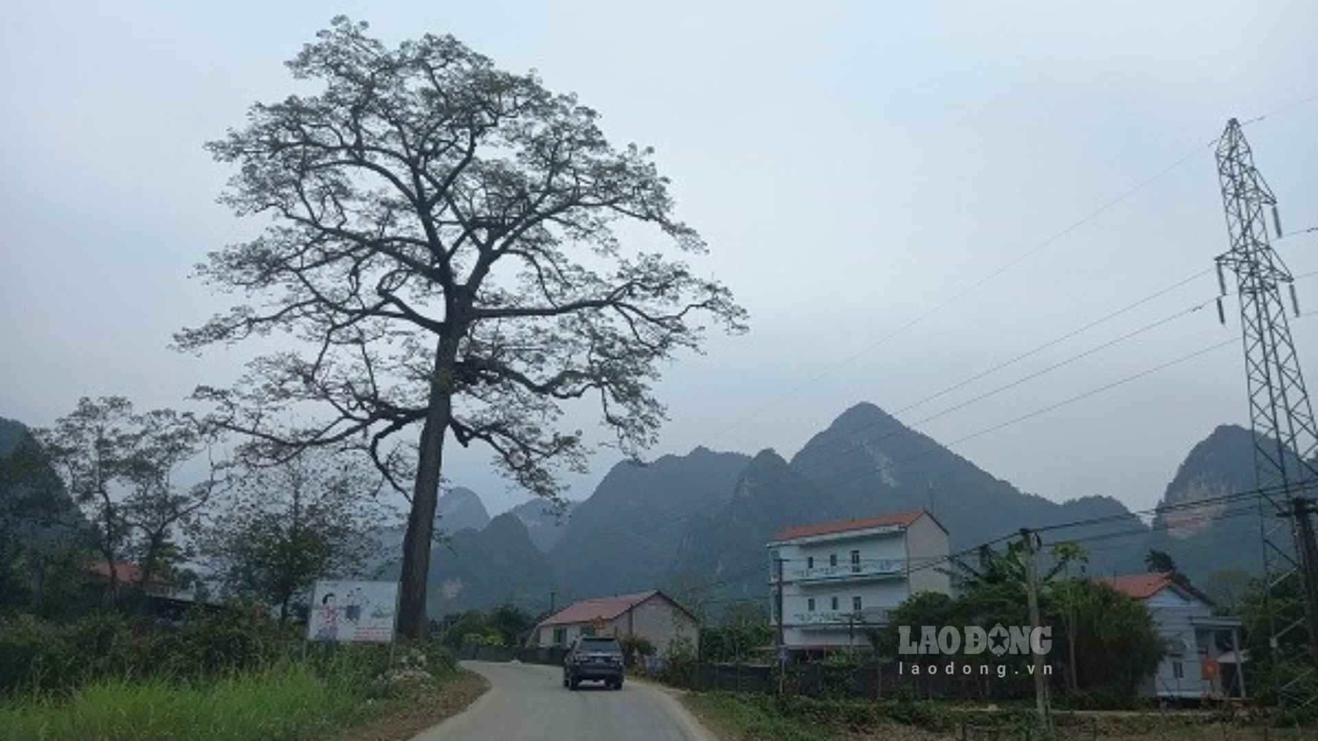 Citizens wonder if land use fees can be reduced when converting to residential land from farm land. Photo: Xuyen Dong