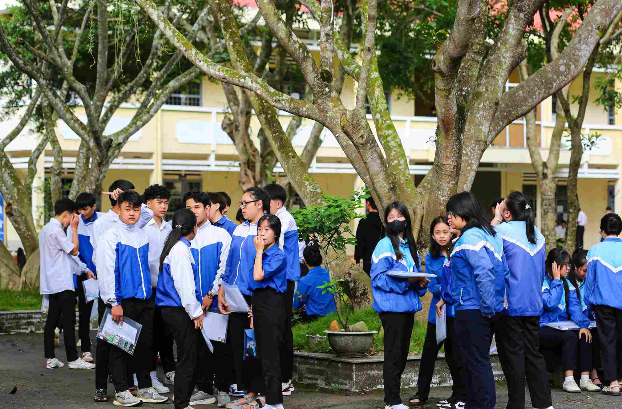 Lam Dong has 98.56% of high school graduation candidates in 2026. Photo: Phuc Khanh