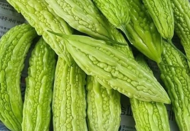La courge amère est l'un des légumes au goût amer, bons pour le foie. Photo: Kiều Vũ