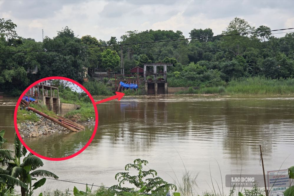 The water level of the Red River has risen, the riverside pumping station that once dried up the embankment foundation has now been obscured. Photo: To Cong
