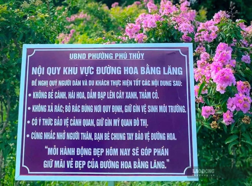 Bảng khuyến cáo do địa phương đặt tại đồi hoa bằng lăng. Ảnh: Duy Tuấn