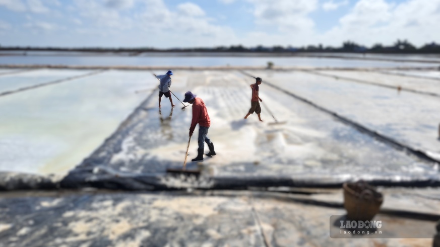 Ca Mau salt production is high, consumption is slow, and production according to tradition has not been converted. Photo: Nhat Ho.
