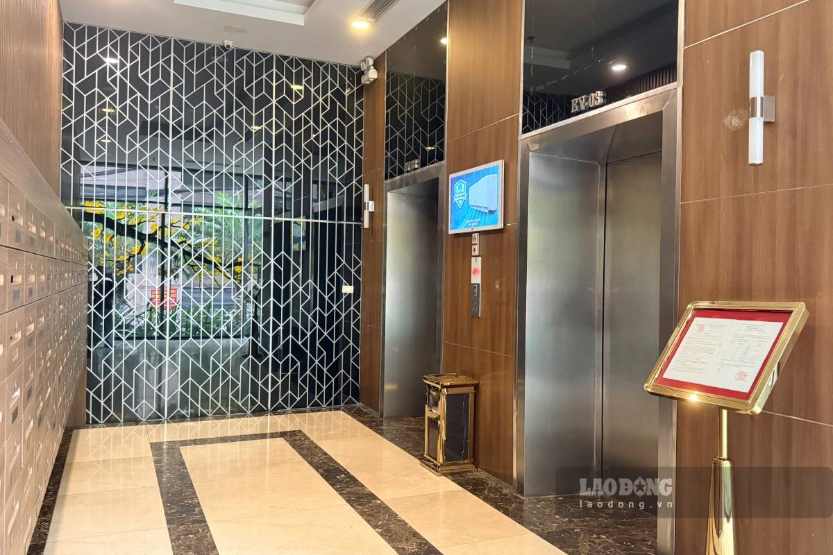 In the context of high apartment prices, many young people choose to rent high-quality houses. Photo: Nhu Ha