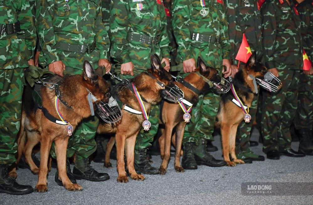Đội chó nghiệp vụ của đoàn Việt Nam tham gia khắc phục hậu quả động đất tại Venezuela.
