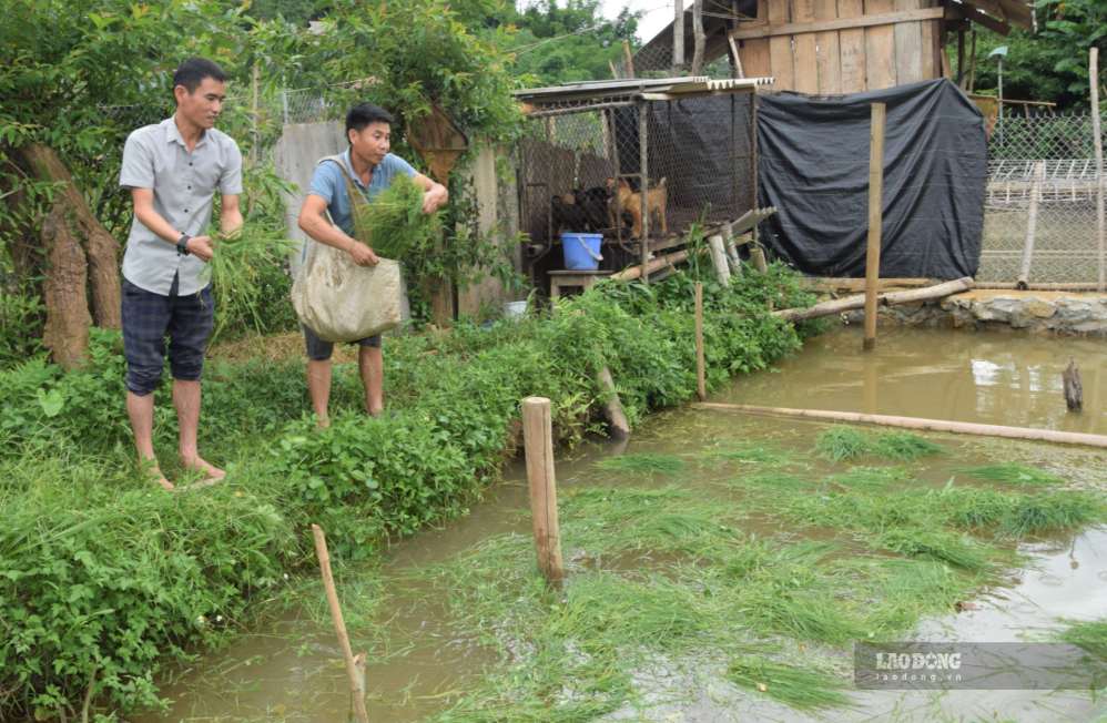 Hệ thống ao cá ở các bản tại xã Chiềng La. Ảnh: Trường Sơn