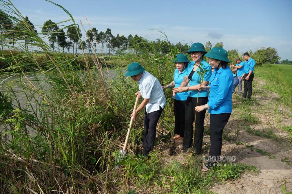 Lãnh đạo LĐLĐ TP Cần Thơ và xã Thạnh An thực hiện trồng cây chống sạt lở. Ảnh: Tạ Quang