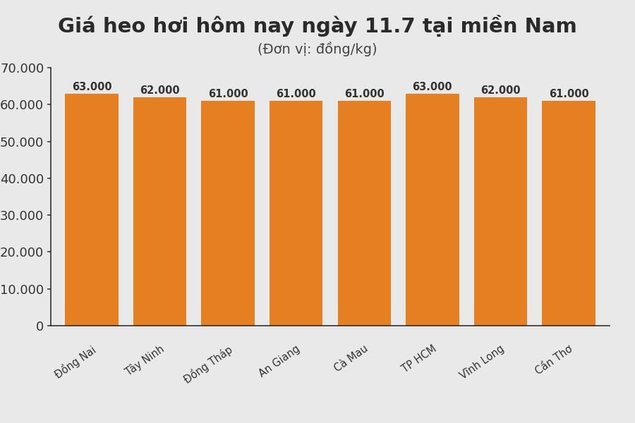 Giá heo hơi hôm nay 11.7 tại khu vực miền Nam. Đồ họa sử dụng AI