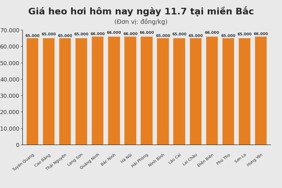 Giá heo hơi hôm nay 11.7 tại khu vực miền Bắc. Đồ họa sử dụng AI