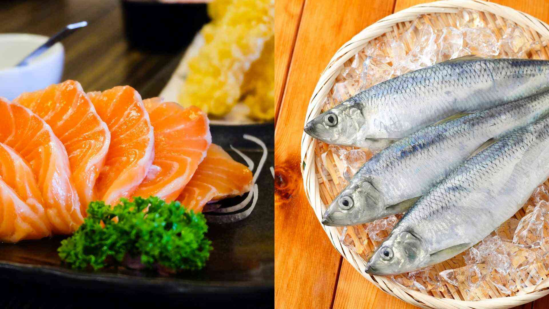 Alternately adding mackerel and salmon to your diet is an ideal way to provide a rich amount of omega-3 for the body. Photo: Canva