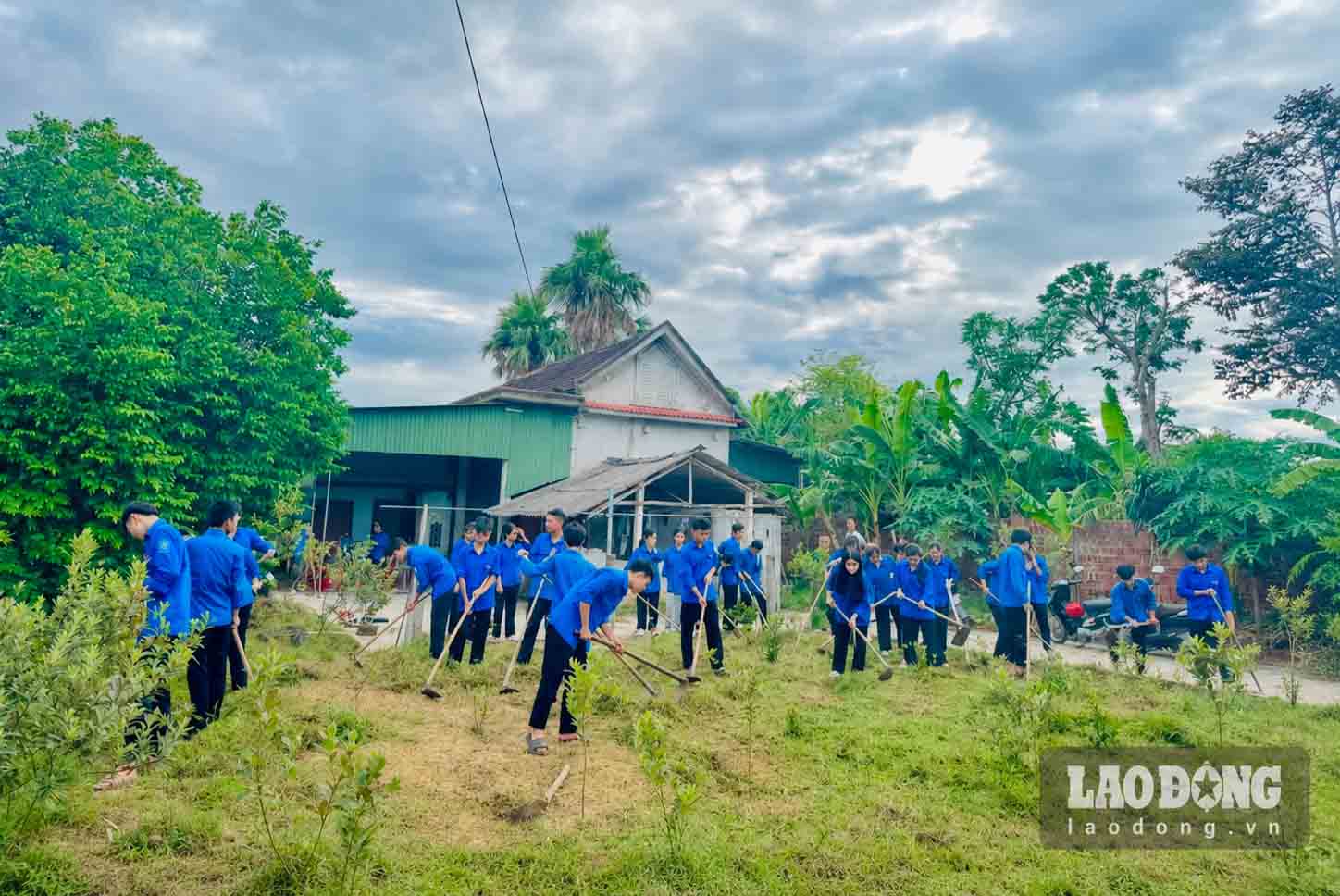 Dozens of youth union members in Thach Xuan commune help the family of former Youth Volunteer Nguyen Van Dung improve the mixed garden. Photo: Doan Tuan