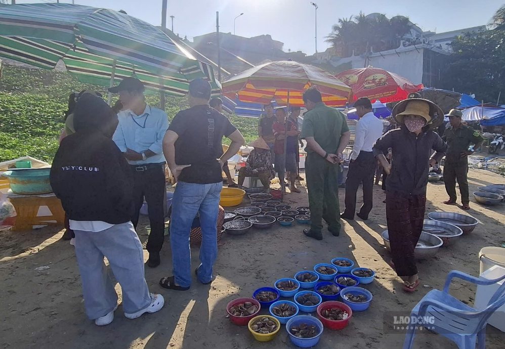 UBND phường Mũi Né quyết tâm chặn đứng nguồn tôm hùm kém chất lượng, xử lý triệt để tình trạng bán hải sản kém chất lượng cho du khách. Ảnh: Duy Tuấn 