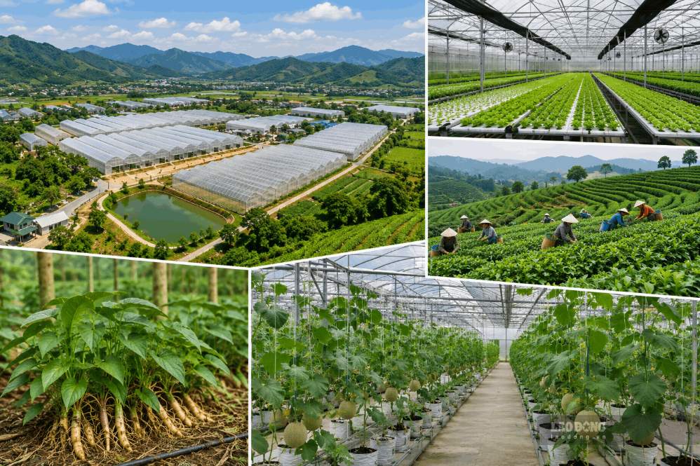 Ưu tiên thu hút các dự án công nghệ cao, công nghệ sạch, phát triển xanh và kinh tế tuần hoàn. Ảnh: Thanh Bình
