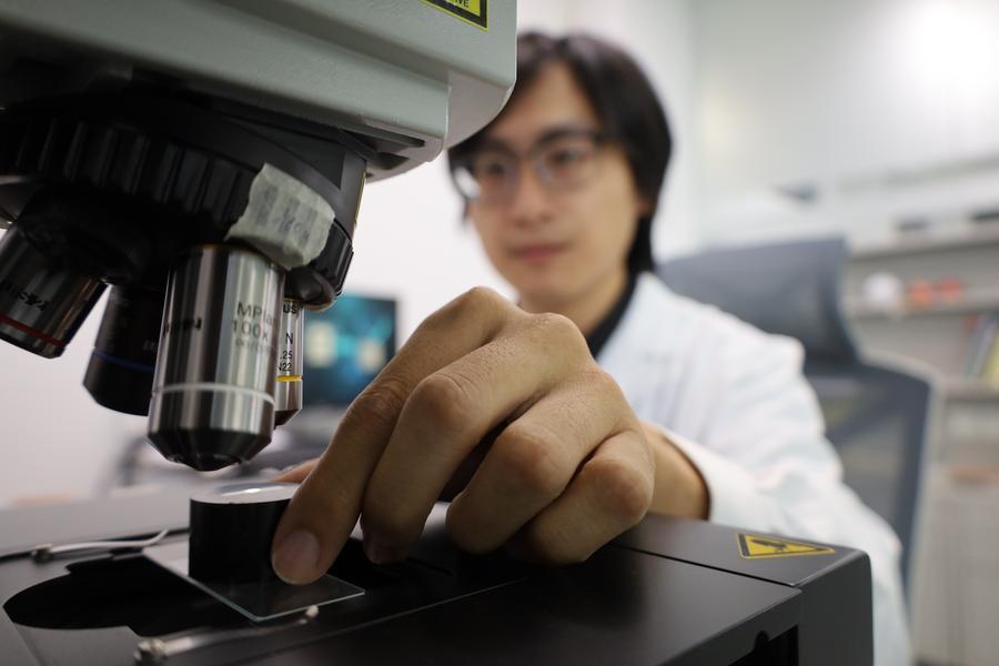 Millions of ancient pottery fragments in Jindu Zhen (China) are being digitized and analyzed using artificial intelligence (AI). Photo: Xinhua