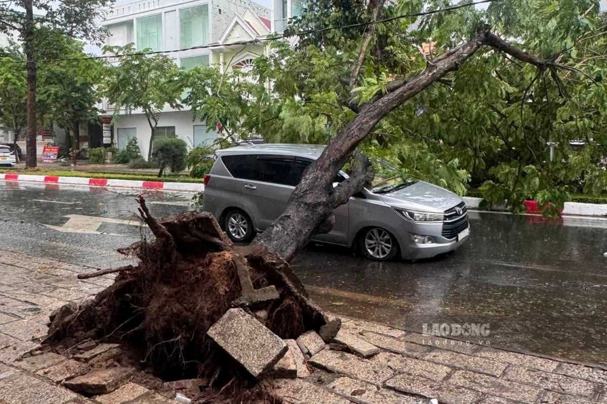 Tornadoes caused trees to fall and weigh on cars traveling on Nguyen Tat Thanh street. Photo: Thanh An