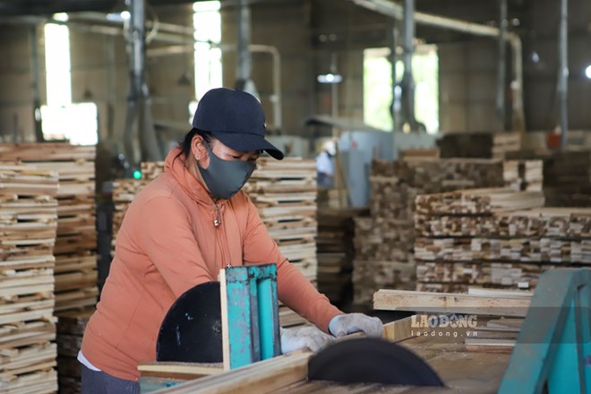 Công đoàn tỉnh Gia Lai phát động phong trào thi đua "Lao động giỏi, năng suất cao, thu nhập tốt" giai đoạn 2026-2031. Ảnh: Hoài Phương