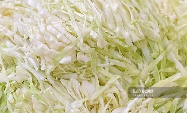Cabbage can help control uric acid if used properly. Photo: Kieu Vu.