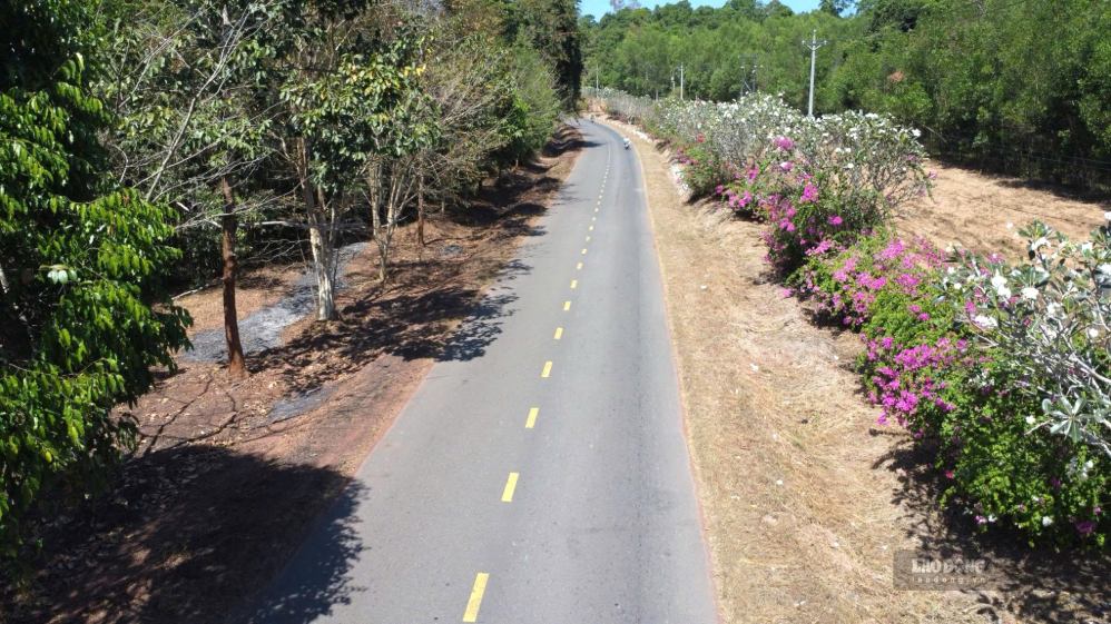 The project has a route coinciding with the existing DT. 761 road. Photo: Ha Anh Chien