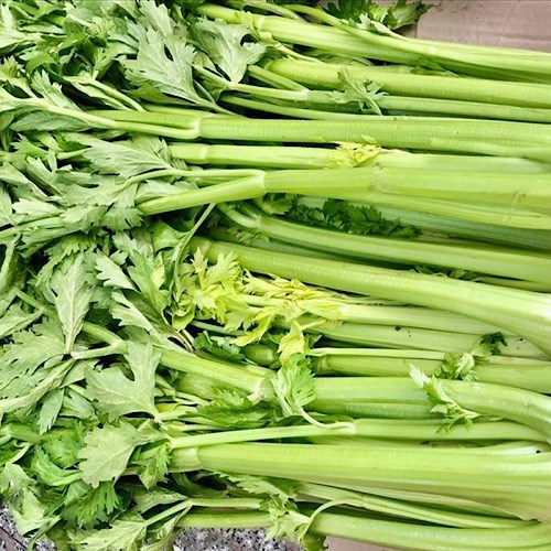 Celery is a low-purine vegetable, rich in fiber, suitable for the diet of people with high uric acid. Photo: Lam Anh.