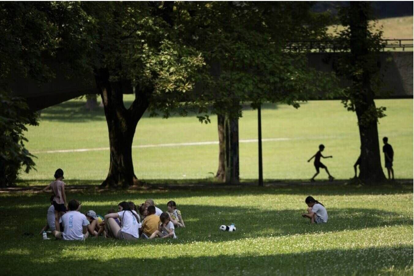 Europeans avoid heat under the canopy of trees. Photo: Xinhua