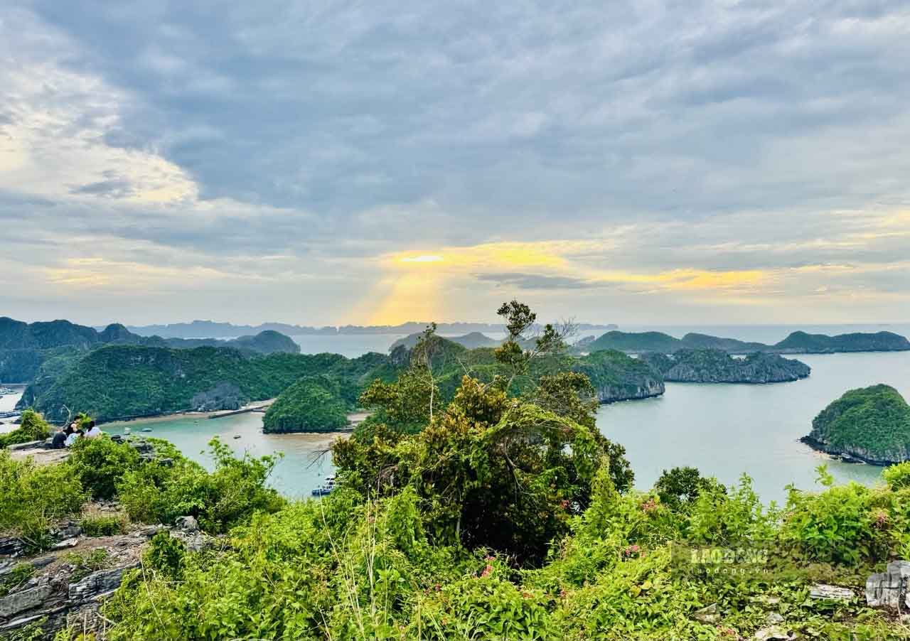 Sunrise on Cat Ba Island. Photo: Linh Boo