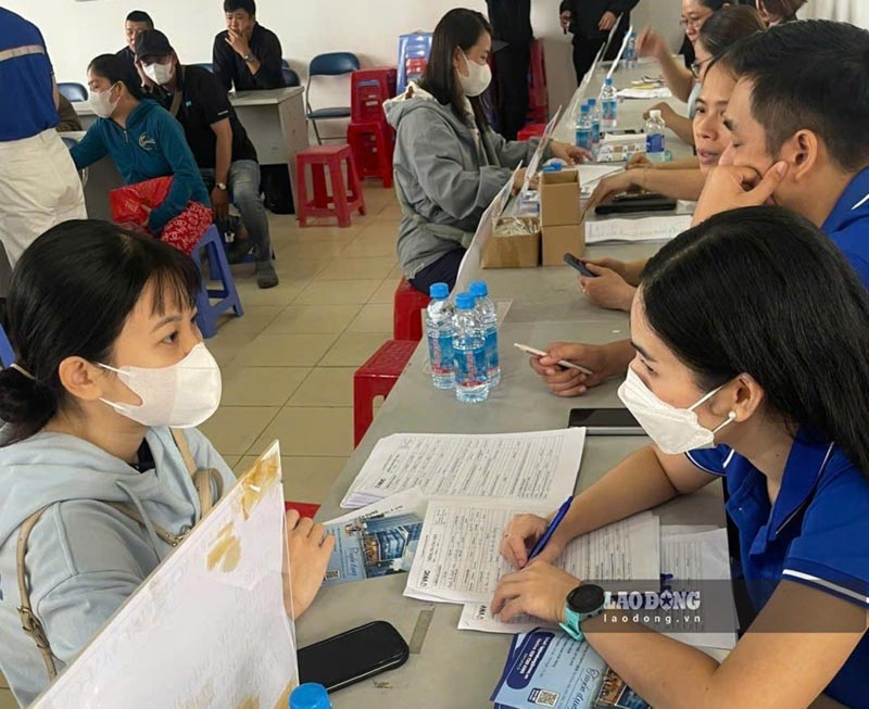In the first 6 months of 2026, labor recruitment demand in Ho Chi Minh City is higher than job search demand. Photo: Duc Long