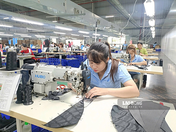 El Comité Popular de la ciudad de Hai Phong planea la propaganda y la divulgación de la ley a los trabajadores y empleadores en el período 2026-2030. Foto: Mai Dung