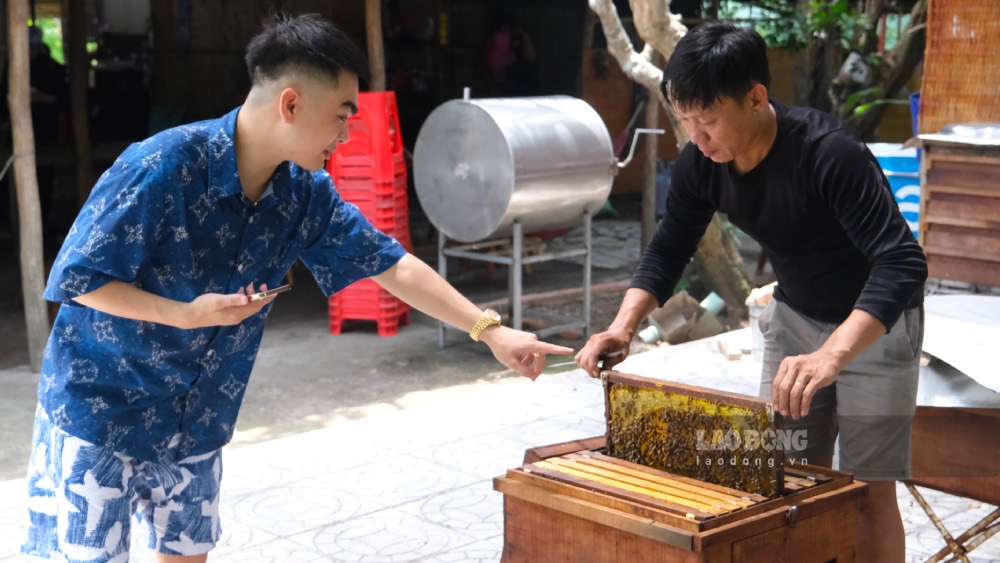 Du khách thích thú xem nuôi ong Ý. Ảnh: Phong Linh.