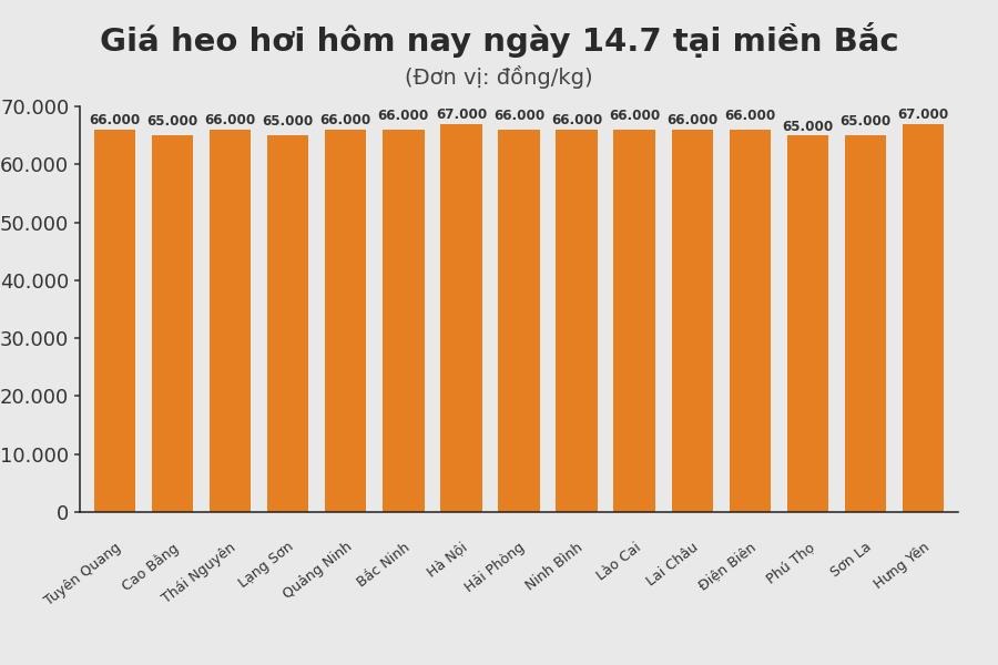 Giá heo hơi hôm nay 14.7 tại khu vực miền Bắc. Đồ họa sử dụng AI