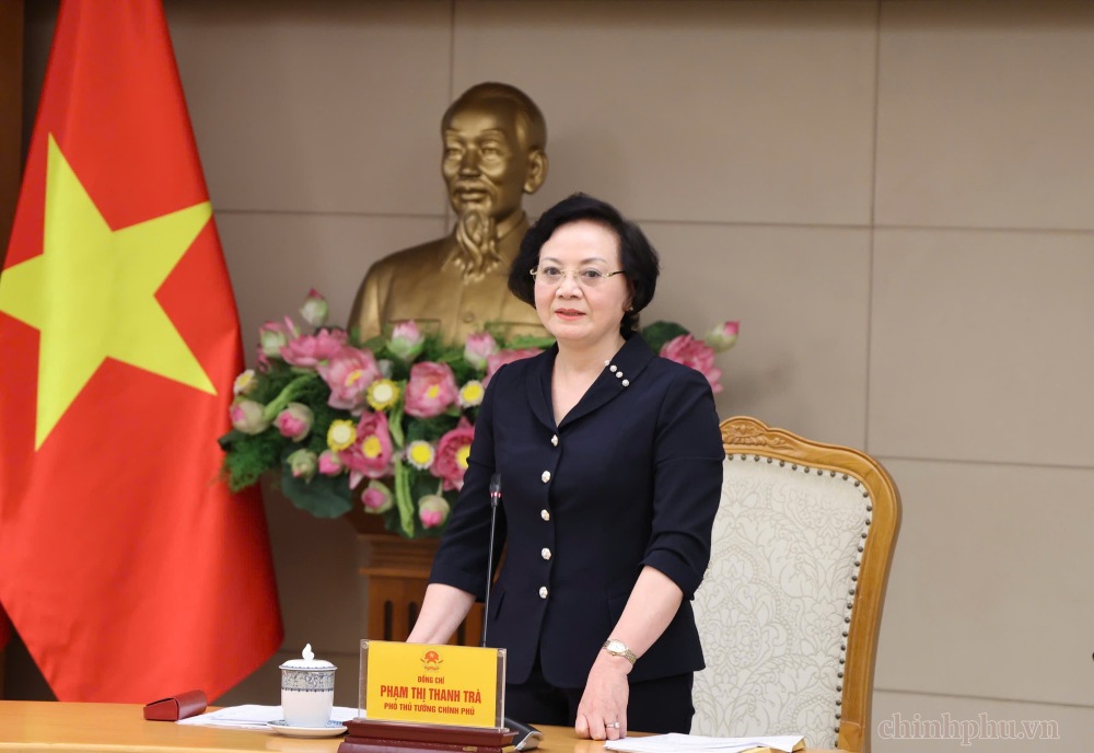 Secretary of the Party Central Committee, Deputy Prime Minister Pham Thi Thanh Tra requested to promote inspection, examination, struggle and strictly handle violations of food safety. Photo: VGP