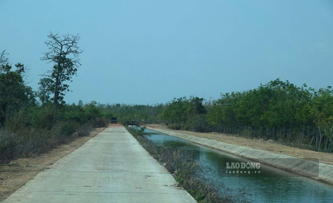 Nước hồ thủy lợi Ia Mơ chảy qua các kênh nhánh để đến vùng tưới sản xuất. Ảnh: Thanh Tuấn