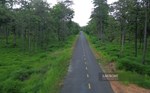 Giữ rừng và chuyển đổi đất để phát triển kinh tế vùng biên Gia Lai