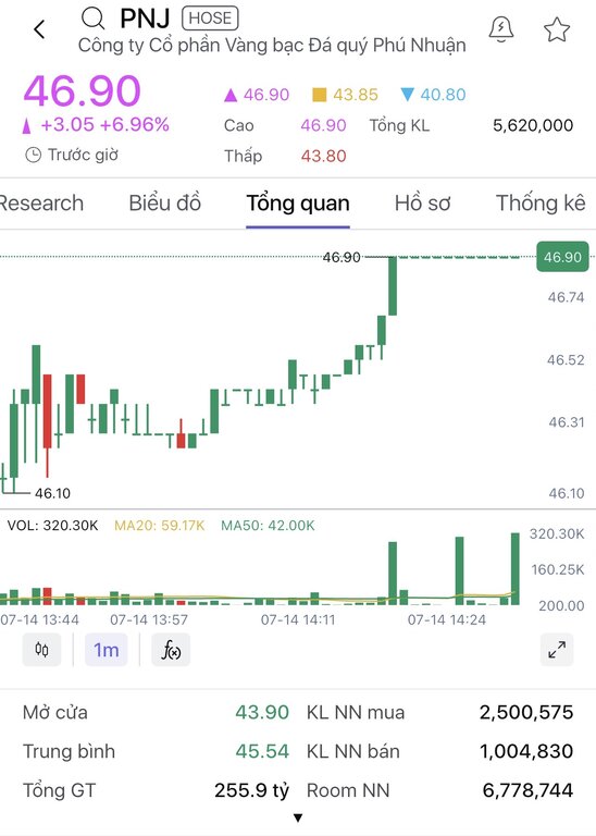 PNJ 주식은 상한가를 기록했습니다. 사진 출처: SSI 증권