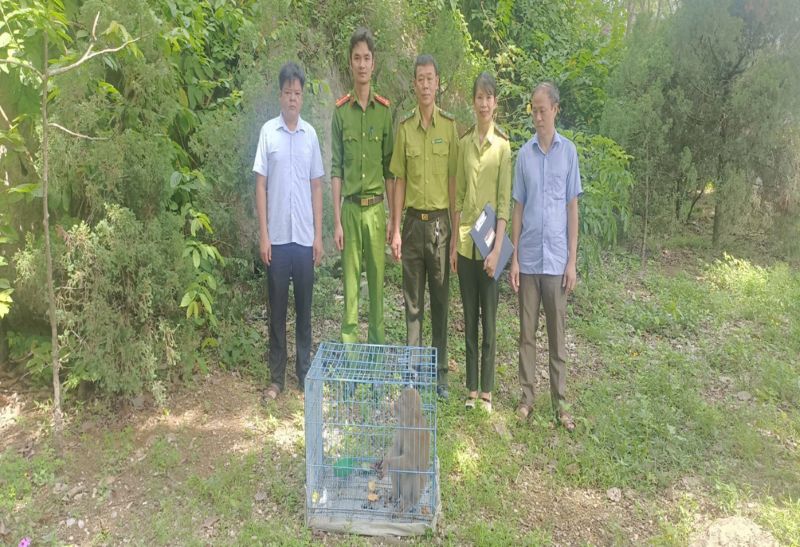 People hand over the monkey to release back into nature. Photo: Thanh Hoa Police