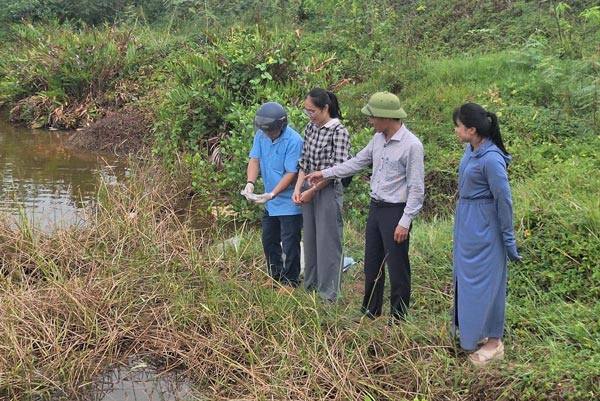 Quang Tri Department of Agriculture and Environment inspects the situation of fish deaths on the river and takes samples for testing to find out the cause. Photo: Quang Tri Department of Agriculture and Environment