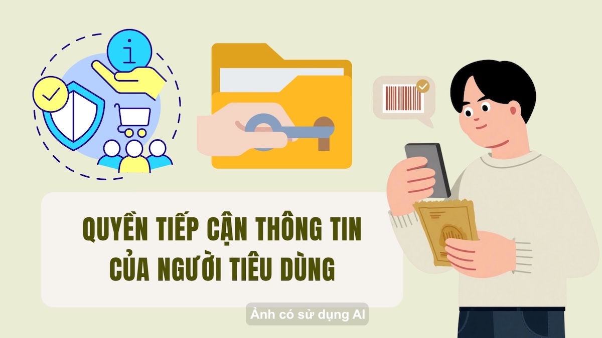 Consumer information access rights