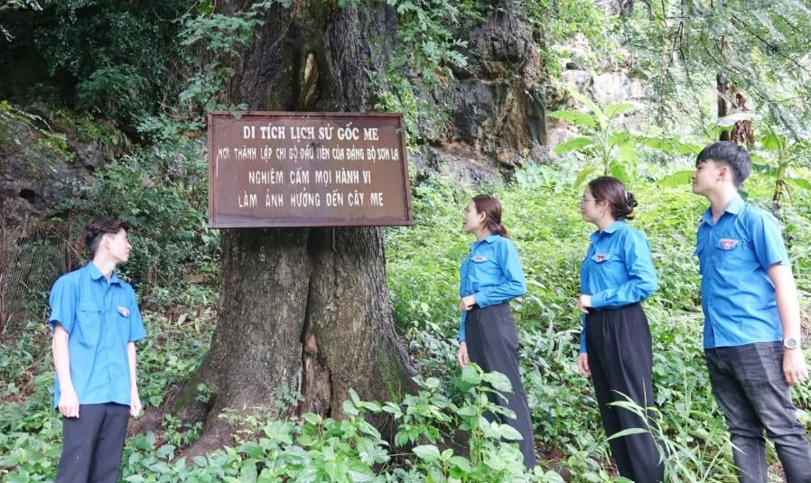 Son La decided to invest more than 17 billion VND to preserve and restore the Cay Me historical relic. Photo: Son La History