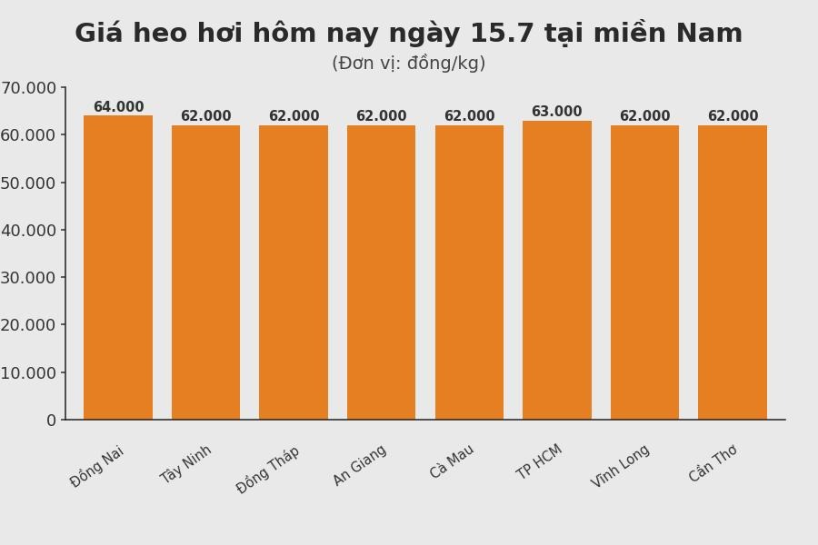 Giá heo hơi hôm nay 15.7 tại khu vực miền Nam. Đồ họa: Sử dụng AI