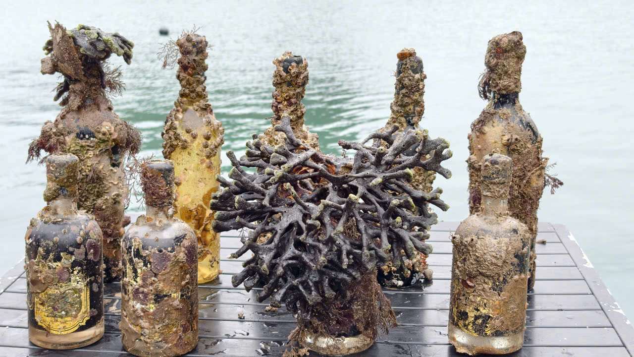 Bottles of wine just picked up after soaking for a while at the bottom of Ha Long Bay. Photo: Hai Bang