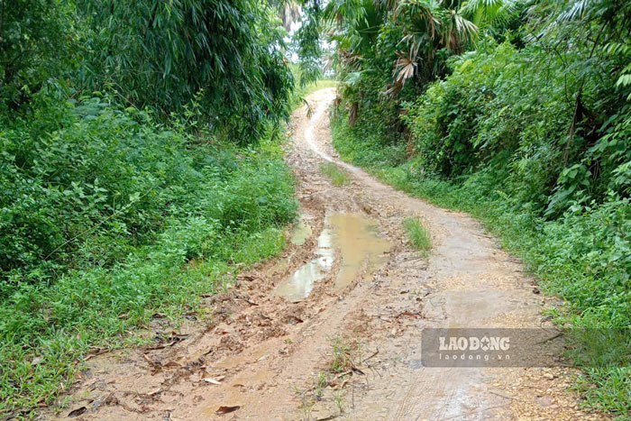 Phần lớn tuyến đường Nà Sầm - Bản Nơ vẫn là đường đất, đá gồ ghề, gây nhiều khó khăn cho người dân mỗi khi mưa xuống. Ảnh: Đinh Đại