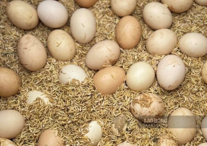 One of the foods that helps skin healthy and hair less frizzy, which should be supplemented regularly, is chicken eggs. Photo: Kieu Vu.