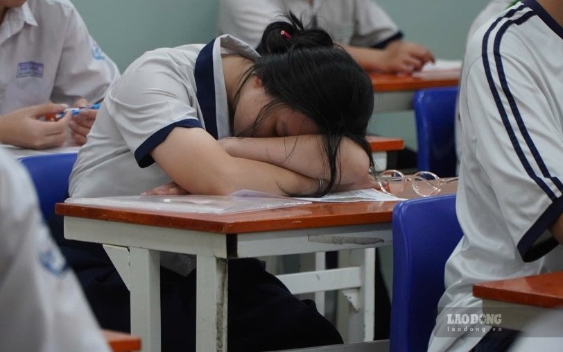 Ho Chi Minh City proposes handling false information about first-grade enrollment on social networking groups. Photo: Chan Phuc