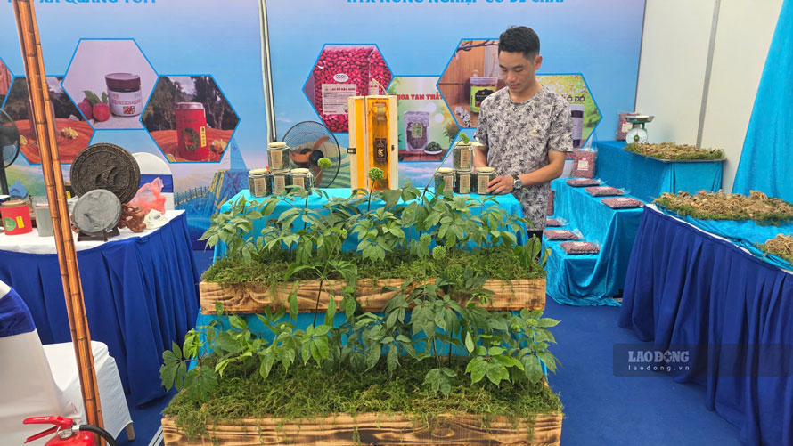 Nhiều sản phẩm OCOP, hàng hóa đặc trưng cùng các nhóm sản phẩm có tiềm năng có mặt tại gian hàng. Ảnh: Duy Dũng