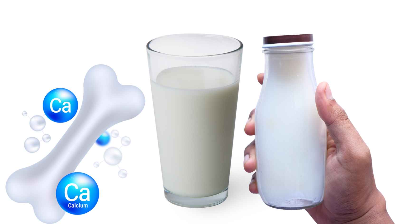 Calcium in milk is not always absorbed by the body. Graphics: Ha May/Source Canva
