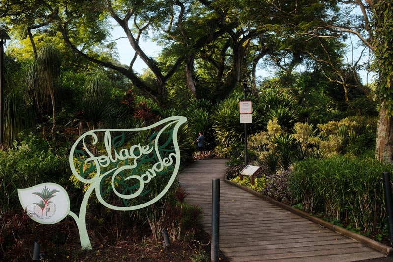 A walkway in the botanical garden. Photo: Minh Duc