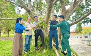 Trao tặng 1.000 cây phong lan cho Khu di tích Truông Bồn