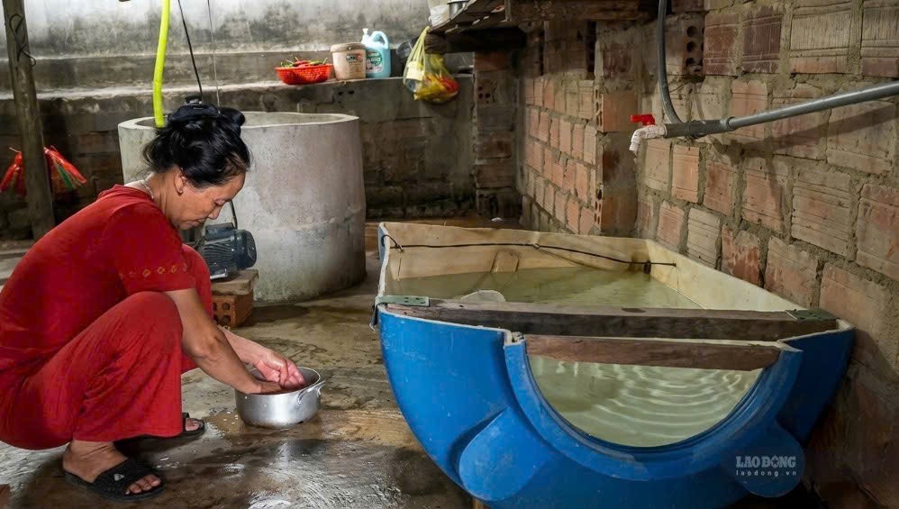 Người dân thôn Thống Nhất, xã Trường Ninh thiếu nước máy phục vụ sinh hoạt hằng ngày. Ảnh: Thanh Trung