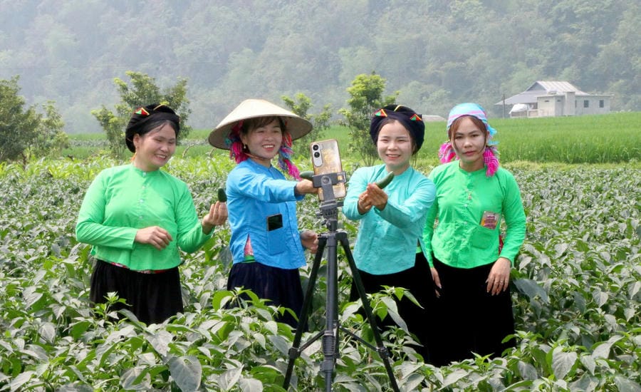 Nguyen Thi Dim (2nd from right) applies digital technology to introduce products. Photo: Character provided