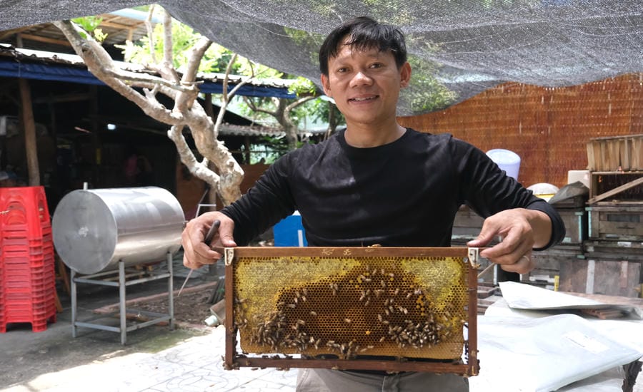 Nuôi ong tại HTX Du lịch nông nghiệp Cồn Sơn (phường Bình Thủy, TP. Cần Thơ). Ảnh: Phong Linh